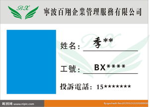 寧波百翔企業(yè)管理服務 專業(yè)賦能，助力企業(yè)穩(wěn)健前行